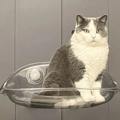 Lit Suspendu Moderne pour Chats