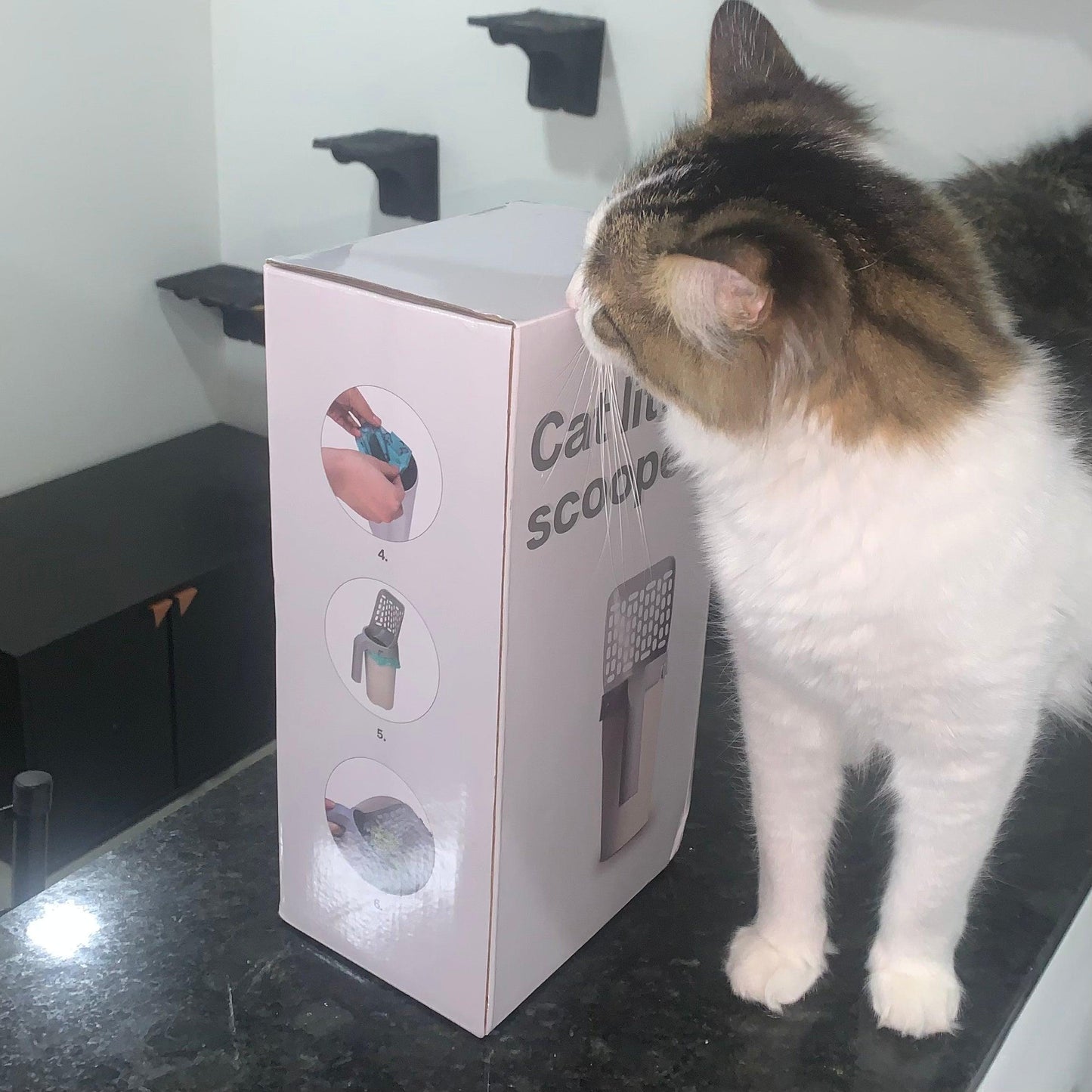 Pelle avec distributeur pour chats