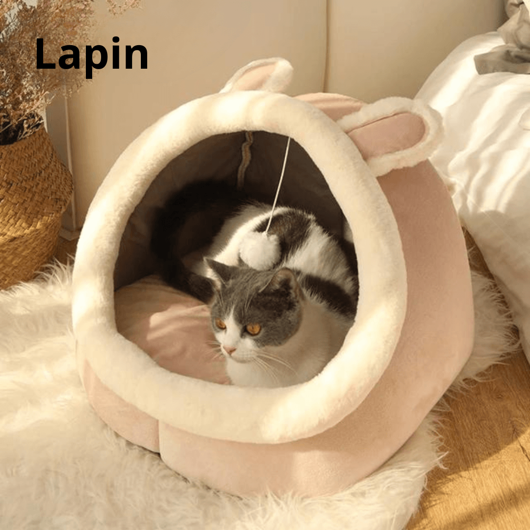 Panier Ovale Grand Ultra Confortable pour Chats