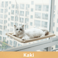 Kaki
